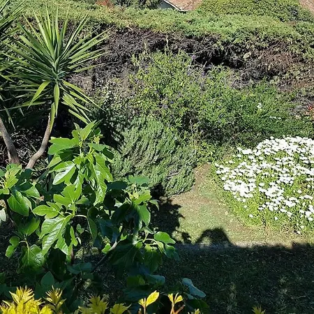 Villa Rez De Villa, Vue Magnifique, Piscine Chauffee Privee, Les Feuillantines Sainte-Maxime